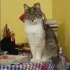 Отзыв от Эльмира Балашова